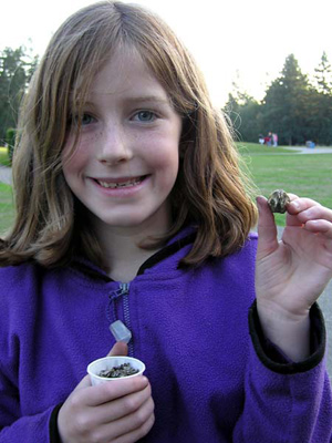 finding treasure in owl pellets 