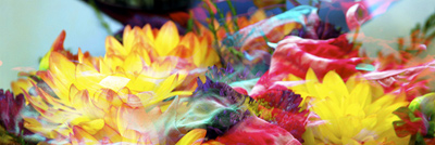 Floralicious art: by guy g