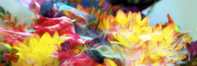 Floralicious art: by guy g