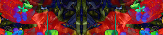 Floralicious art: by guy g