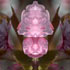 Floralicious art by guy g | 144k