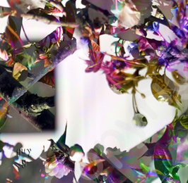 Floralicious art: by guy g