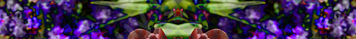 Floralicious art: by guy g