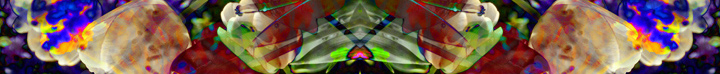 Floralicious art: by guy g