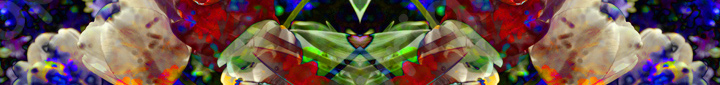Floralicious art: by guy g