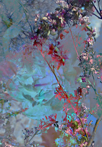 Floralicious art: by guy g