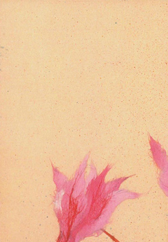 Japanese washi paper art by Kyoko Niikuni