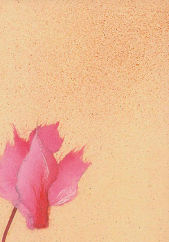 Japanese washi paper art by Kyoko Niikuni