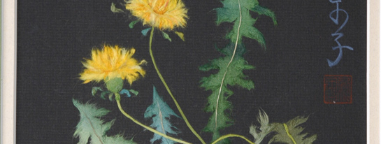 Japanese washi paper art by Kyoko Niikuni