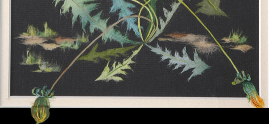 Japanese washi paper art by Kyoko Niikuni