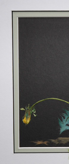 Japanese washi paper art by Kyoko Niikuni
